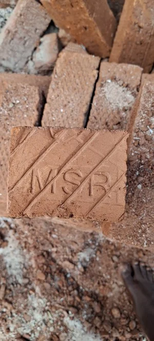 MSR Bricks